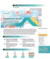 Fetal Bovine Serum (2606)